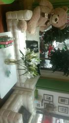 -艺米阳光Hair Salon