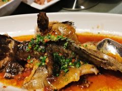 -元素中餐厅.海南菜.粤菜.椰子鸡.海鲜.包房.石梅湾威斯汀度假酒店