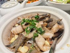 -荣兴酒家(徐家汇店)