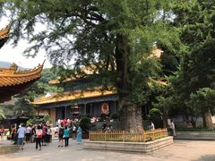 -普陀山风景名胜区-法雨禅寺