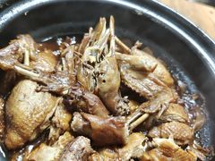 -百家春好德来姜母鸭