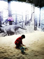 -恐龙探索乐园(磁器口店)