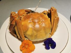 -至尊鲨鱼·原烹海鲜·新浙菜(拱宸桥店)