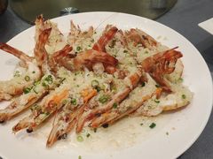 -新锦鸿(演达店)