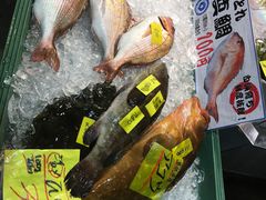 -海鮮寿司とれとれ市場