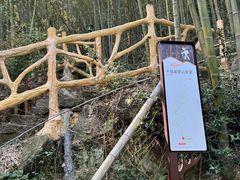 -长沙黑麋峰国家森林公园