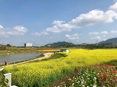-光明小镇欢乐田园