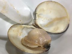 -顺德哥卜卜贝(旗舰店)