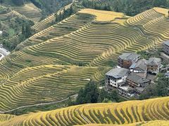 -龙脊梯田