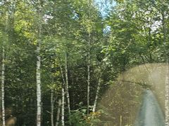 -五营红松林海景区