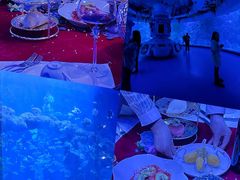 -海合安青岛极地海洋公园
