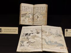 -阿姆斯特丹性博物馆