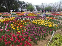 -沈阳植物园