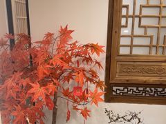 -剧狐剧本杀(徐汇1号店)
