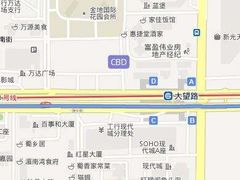 -大望路(地铁站)