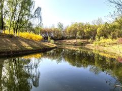 -大兴滨河森林公园