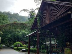 -野象谷景区