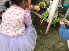 -红舞鞋舞蹈教育(近江校区)