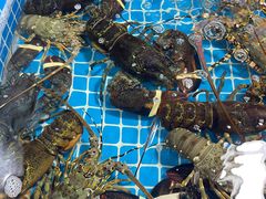 -鸿港海鲜批发市场