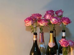 -星河湾温泉洗浴酒店