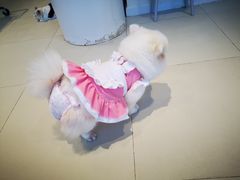 -怪兽屋·羊驼·猫咖·狗咖(俊华广场店)