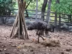 -清迈夜间动物园