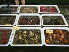 -红月湾海鲜饭店•沙滩海景(双月湾店)