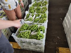 -西郊国际农产品交易中心