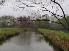 -溱湖国家湿地公园