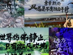 -中国湿地博物馆