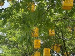 -歌斐颂巧克力小镇