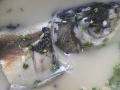 -天乐农家鱼头王(天目湖店)