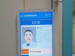 -北京观赏动物医院·24小时大型综合·猫专科·异宠专科