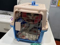 -瑞派动物医院·绝育·犬猫全科·预防医学(光景江南中店)