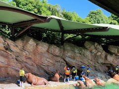 -珠海长隆海洋王国