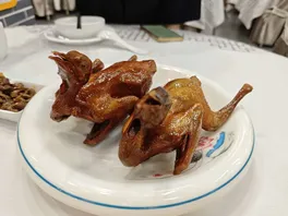 南**鸽