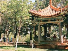 -昆明动物园
