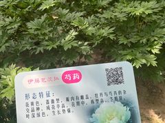 -仁和公园(顺义区)