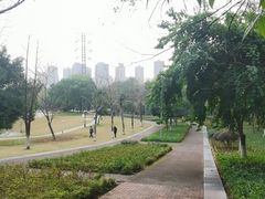 -重庆彩云湖湿地公园