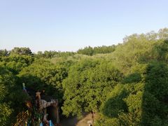 -朝阳公园游乐园