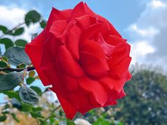 -人民公园(罗湖区)