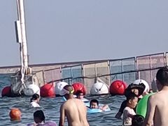 -碧海金沙