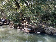 -兰亭风景区