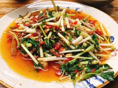 -汝萍传统蘸水菜(春华路总店)