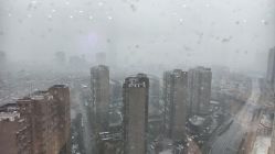 -泽舞·国际流行舞