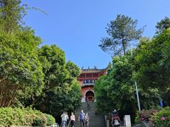 -铁山坪森林公园