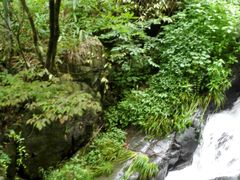 -藏龙百瀑风景区