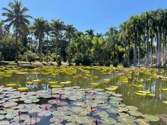-中国科学院西双版纳热带植物园
