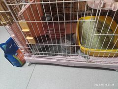 -CLUE演绎实景剧本杀(江南西店)