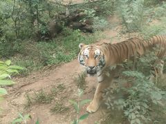 -昆明动物园